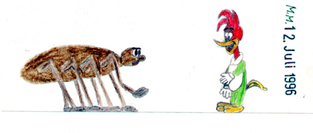 Specht&Weberknecht