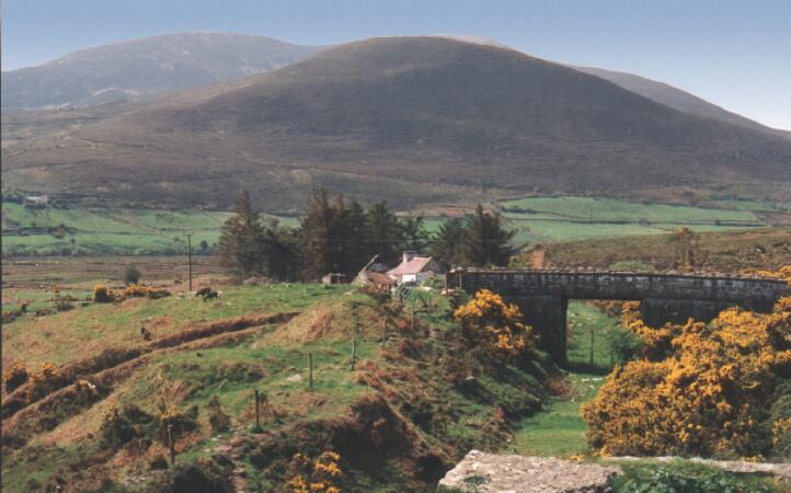 Landschaft bei Dublin
